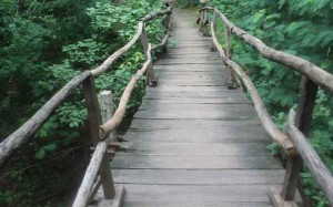 Panna National Park, India travel